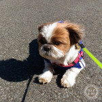 どうして、イヤなの～？