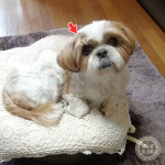 寝ぐせ、ついてるよ～