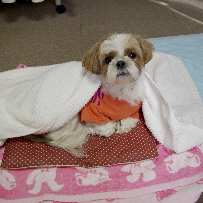 寝るの、寝ないの？