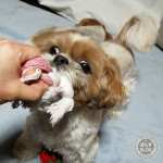 今年も仲良し見せてね。