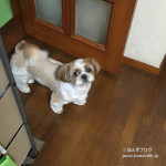 おやつタイマー