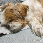 寝てるとなかなか、起こせないよね～～