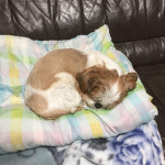 疲れて寝てモード