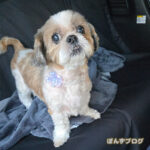 ようやく回復の兆しが見えました