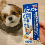 肉球にすべり止め！？『パウソフト』を使ってみた感想