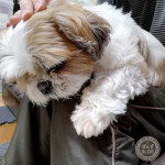 差のつくもふ率。