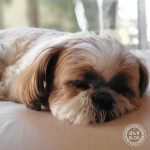 より生き生きと！！