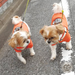 お話しながら。