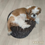 その姿勢、大丈夫？？