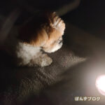 まさかの停電！