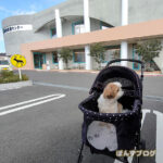 東千葉動物医療センターへ行ってきた