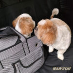 ないしょの話。