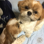 かぼす、気持ちいい？