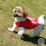 いっぱい運動しました！！