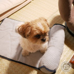 落ち着ける場所。