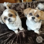 親子でいっしょに♪