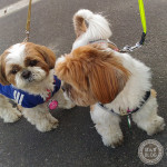 励ましながら。