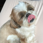 おやつタイムは、別！