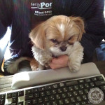 パソコン好きなの？