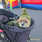 おでかけ寒かったかぼ