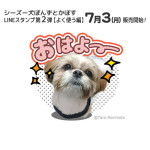 いよいよ明日、販売開始です！