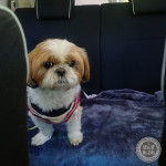 ささやかに充実