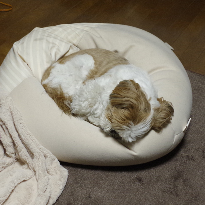 ２度寝にいたるまで。