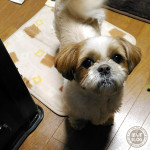 ねえねえ、ねえ！