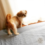 頑固なまでに、イヤ！