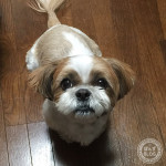 アンチエイジング！？