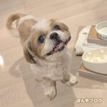 『げぇー』が続いたけど、元気です