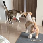 一週間が経ちました