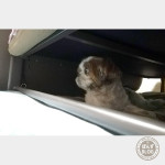 隠れ家にこもる、ぽんず。