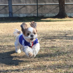 ぽんずもまだまだ、猛ダッシュ！