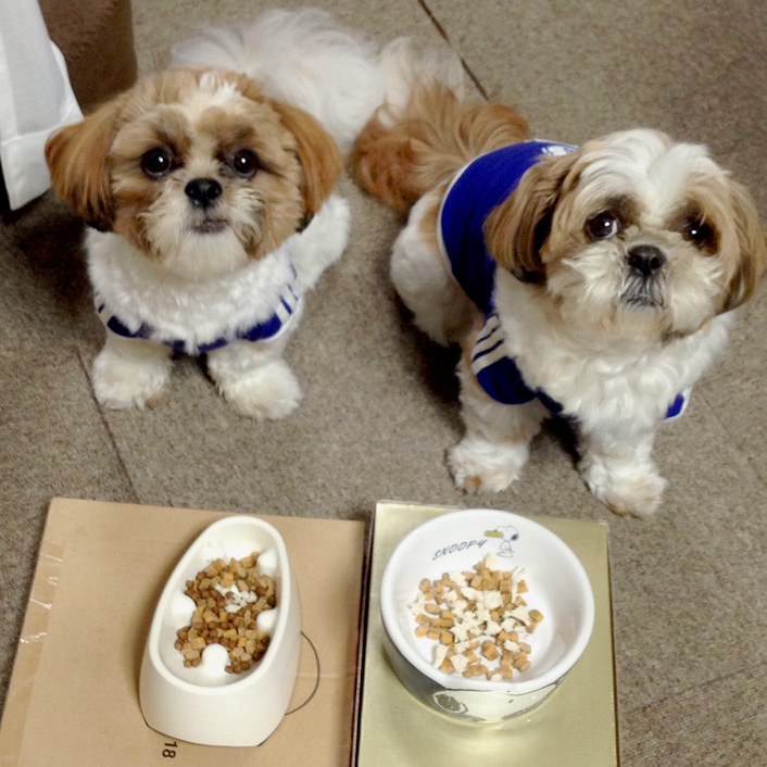 残りはおいらにまかせるかぼ！