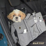 ぽんずの咳で再診です。