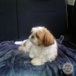 すっきりぽん！