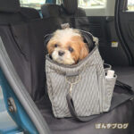 もしゃもしゃも可愛いよね～