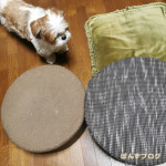 ぽんず、どこが好き？