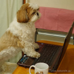 ぽんずままの日