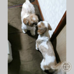 ままーおかえりかぼー！