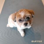 例年よりも蒸れています