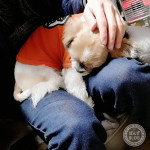 真冬のように。