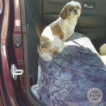 降りたくなーい。