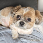 放射線ヨード治療の説明を受けてきました