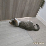 実は、両想い？