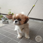 災害が続きます・・・