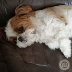 寒いのは好都合！