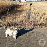 さっそく春めいて・・・