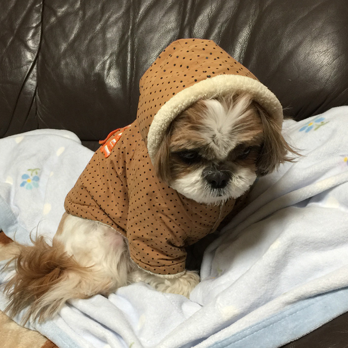 さ、寒いぽんずよ